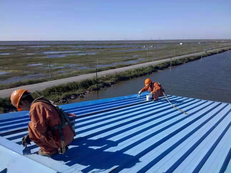 巴东钢结构屋面漏水原因